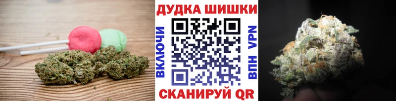 где купить   Каспийск  Canna-Cookies конопля 